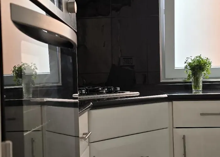 Perro Y Osito Coliving -