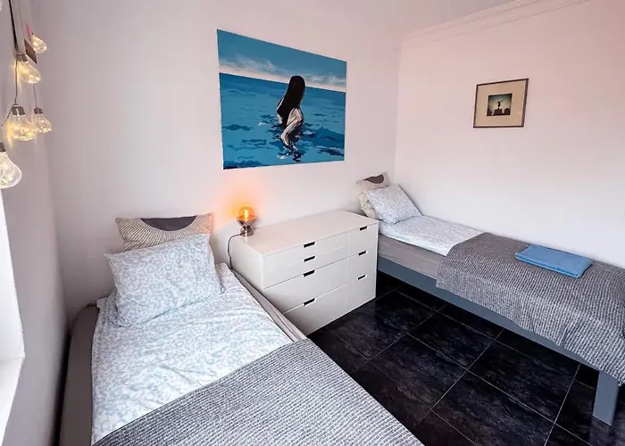 Perro Y Osito Coliving -