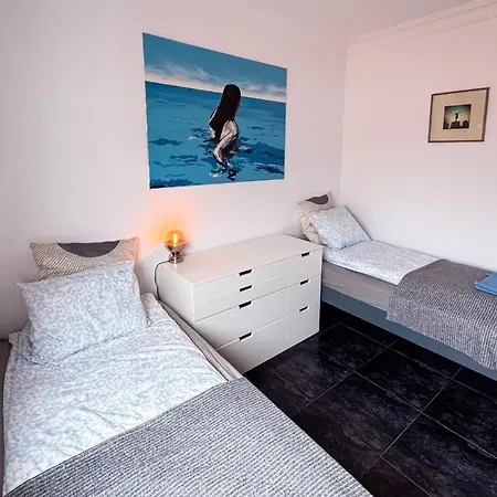 Perro Y Osito Coliving -