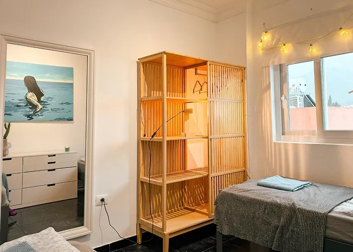 Perro Y Osito Coliving - 住宿加早餐酒店 San Andrés