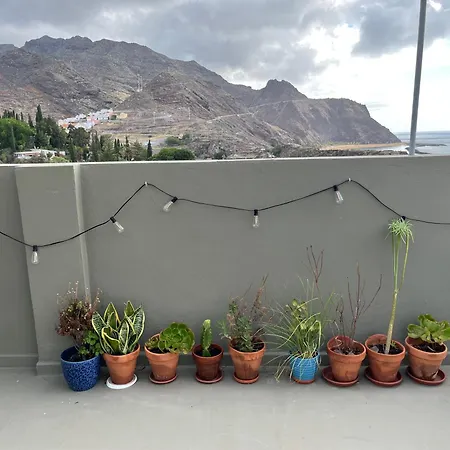 住宿加早餐酒店 Perro Y Osito Coliving -