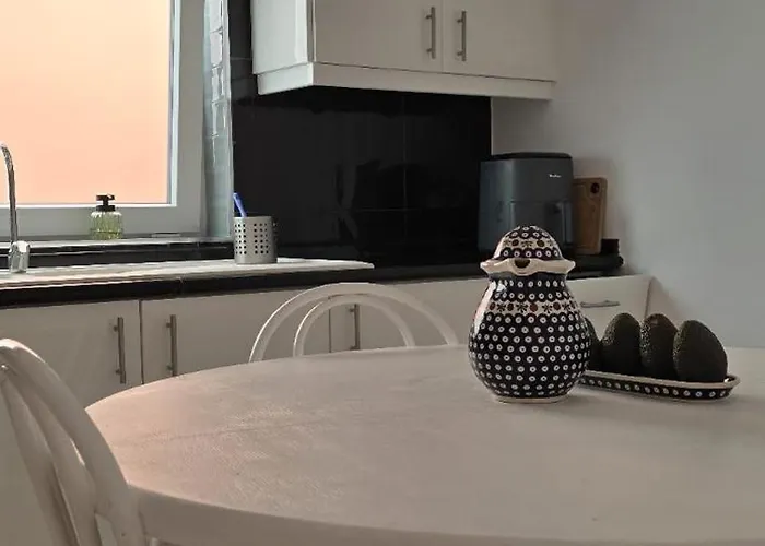 Perro Y Osito Coliving - * San Andrés