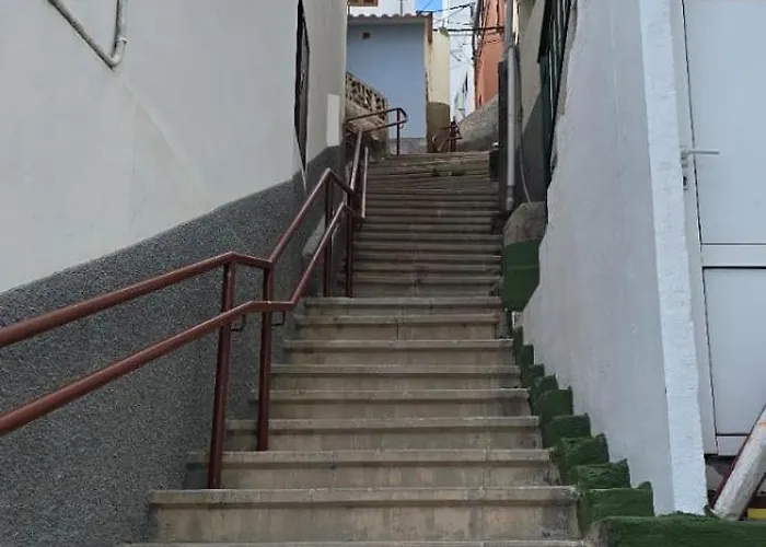 Perro Y Osito - San Andrés