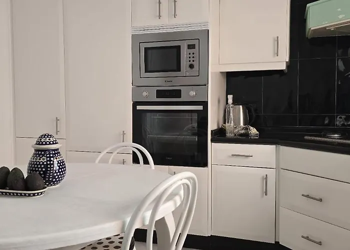 Perro Y Osito Coliving - 住宿加早餐酒店 San Andrés