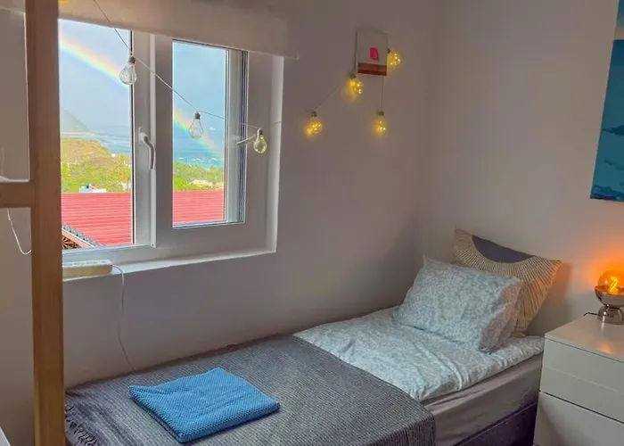 住宿加早餐酒店 Perro Y Osito Coliving - San Andrés