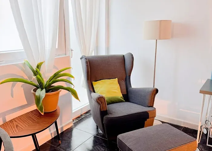 Perro Y Osito Coliving - * San Andrés