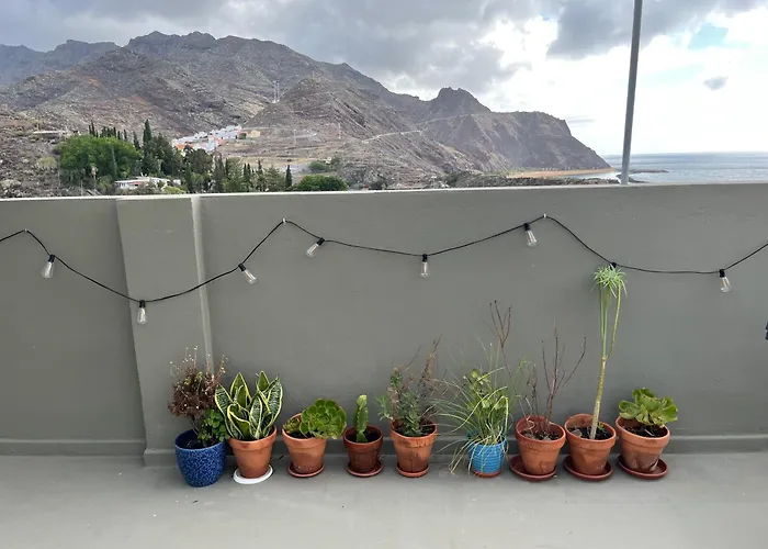 住宿加早餐酒店 Perro Y Osito Coliving -