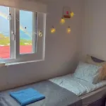 Oda ve Kahvaltı Perro Y Osito Coliving - San Andrés