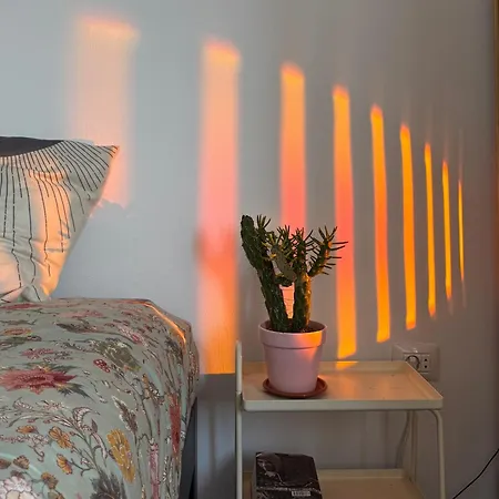 Perro Y Osito Coliving - Bed & Breakfast *