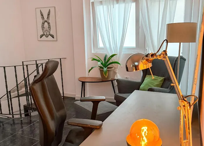 Perro Y Osito Coliving - *