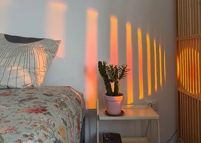 Perro Y Osito Coliving - Bed & Breakfast *