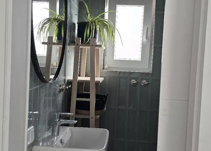 Perro Y Osito Coliving - * San Andrés