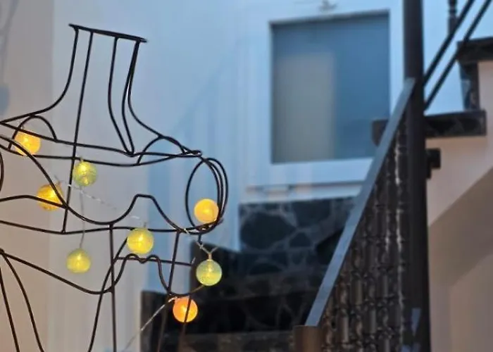 Perro Y Osito Coliving - *