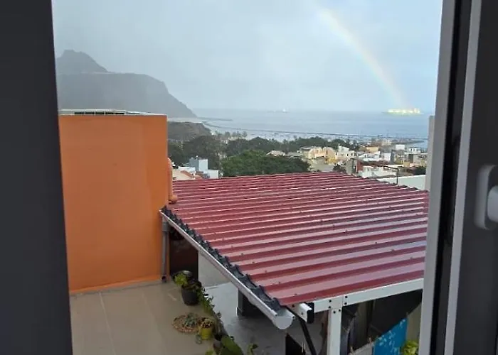 Perro Y Osito Coliving -